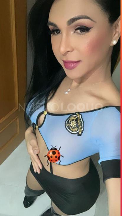NuevoLoquo1