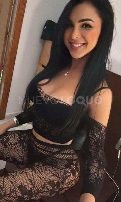 NuevoLoquo3