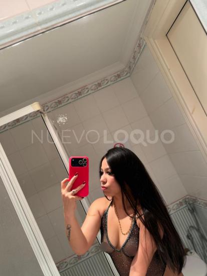 NuevoLoquo3