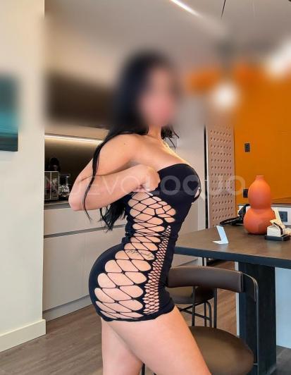 NuevoLoquo3