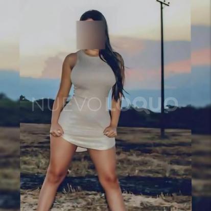 NuevoLoquo2