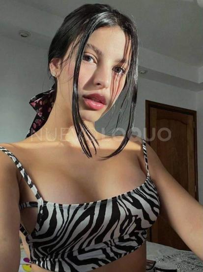 NuevoLoquo4