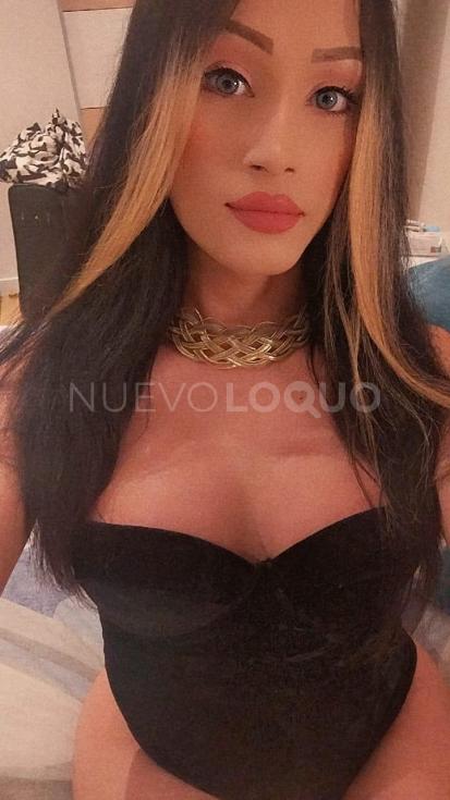 NuevoLoquo3
