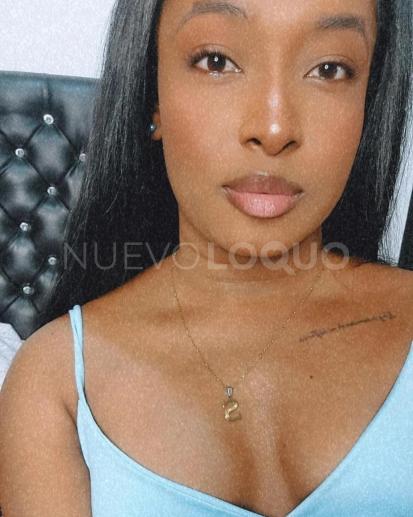 NuevoLoquo3