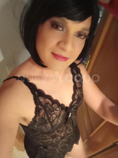 NuevoLoquo2