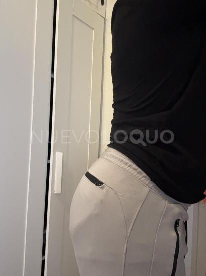 NuevoLoquo2