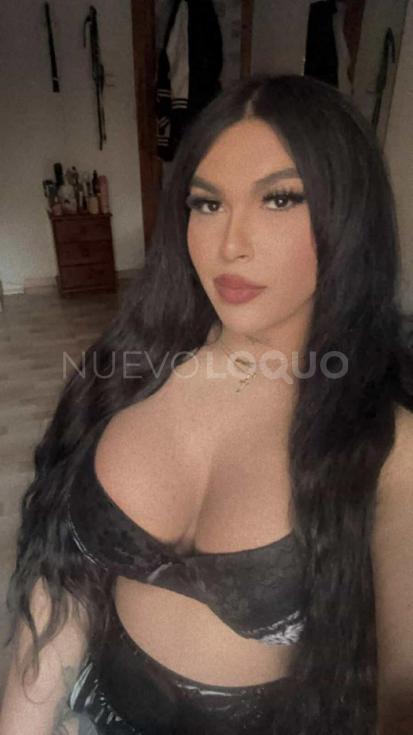 NuevoLoquo4