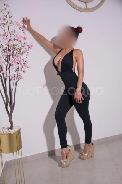 NuevoLoquo3