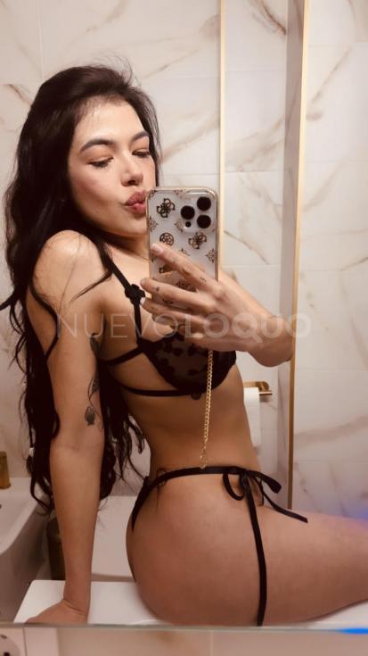 NuevoLoquo3