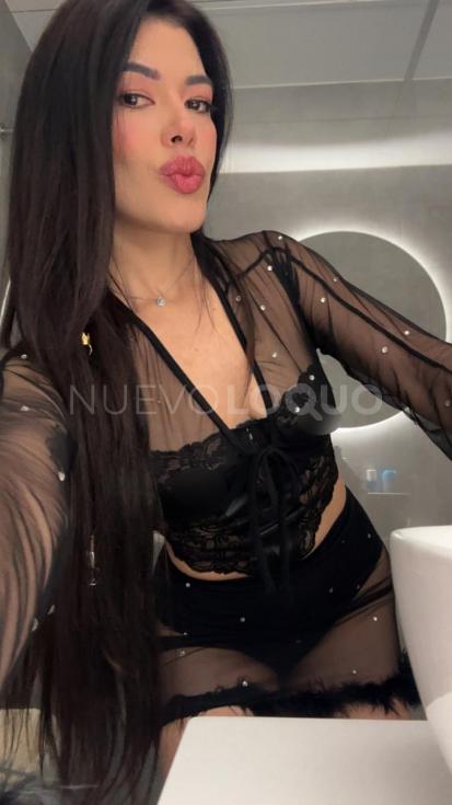NuevoLoquo3