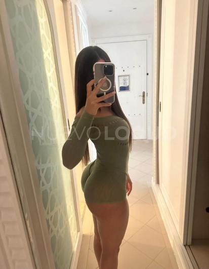 NuevoLoquo3