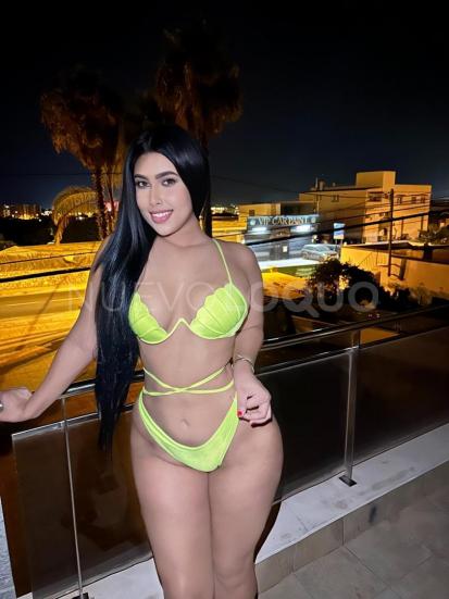 NuevoLoquo4