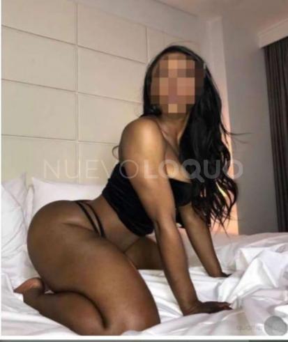 NuevoLoquo2