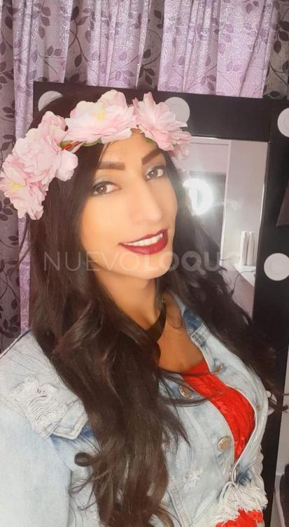 NuevoLoquo1