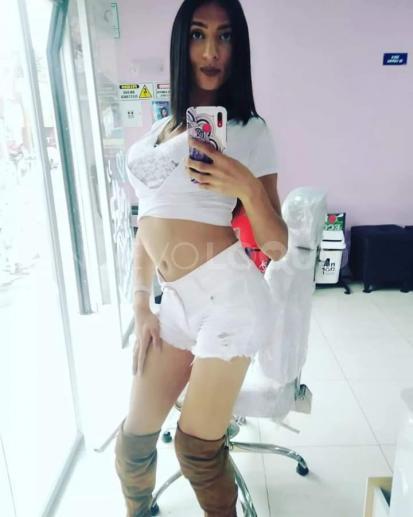 NuevoLoquo2