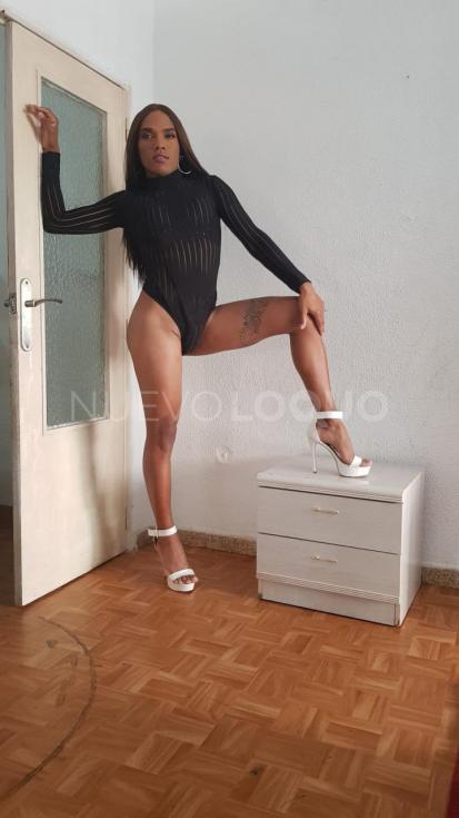 NuevoLoquo4