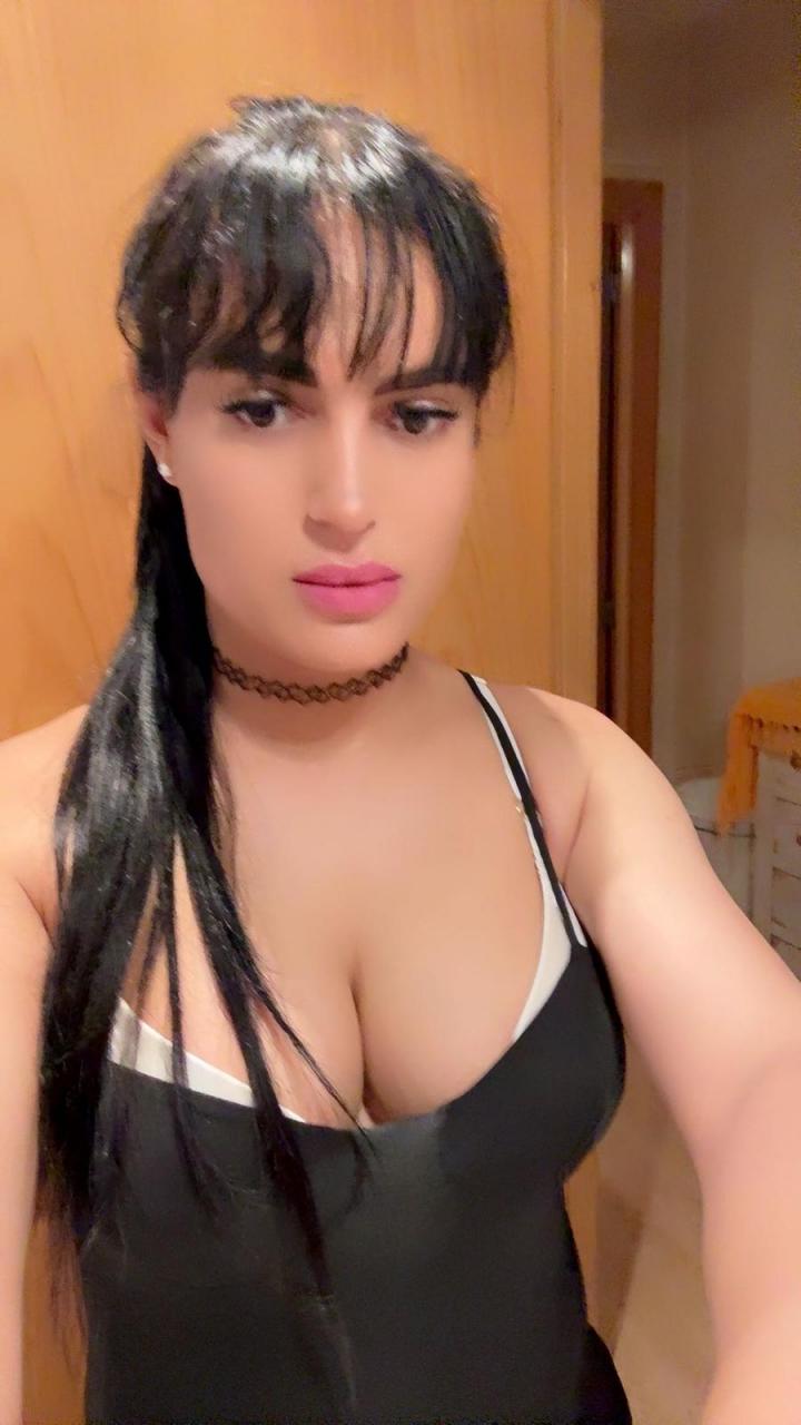 NuevoLoquo2