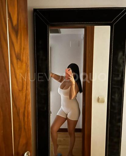 NuevoLoquo3