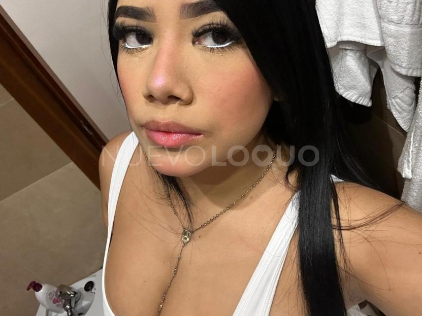 NuevoLoquo4