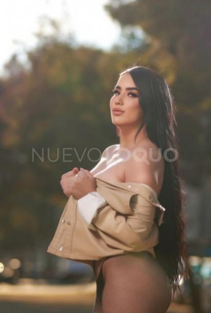 NuevoLoquo3