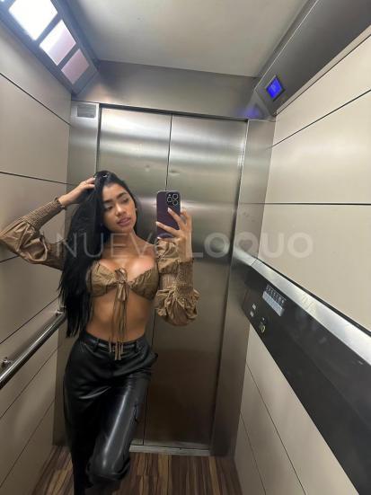 NuevoLoquo2