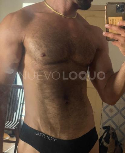  Acompañante de lujo peludo