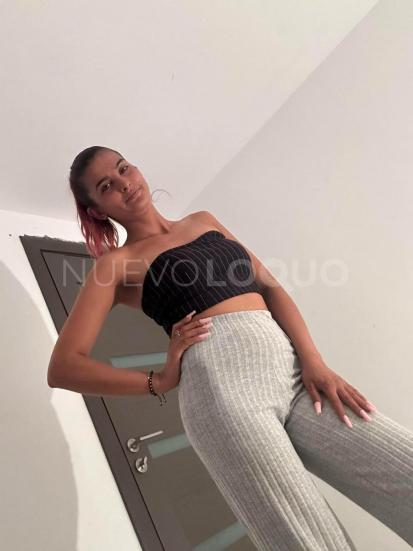 NuevoLoquo2