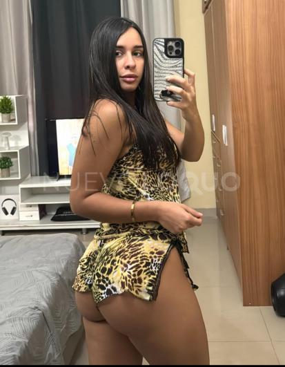 NuevoLoquo2