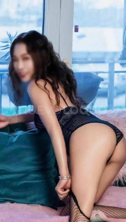 NuevoLoquo4