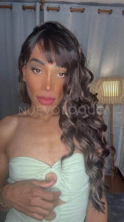 NuevoLoquo2