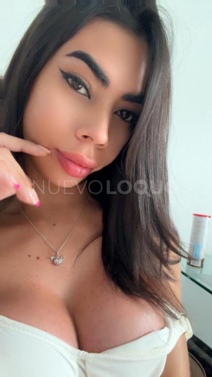 NuevoLoquo3