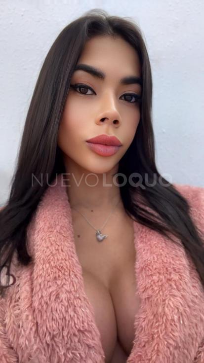 NuevoLoquo3