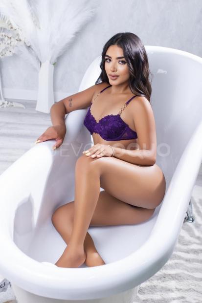 NuevoLoquo3