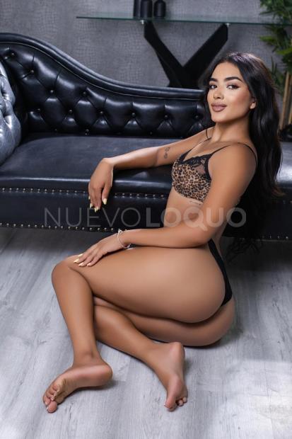 NuevoLoquo4