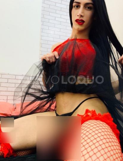 NuevoLoquo1