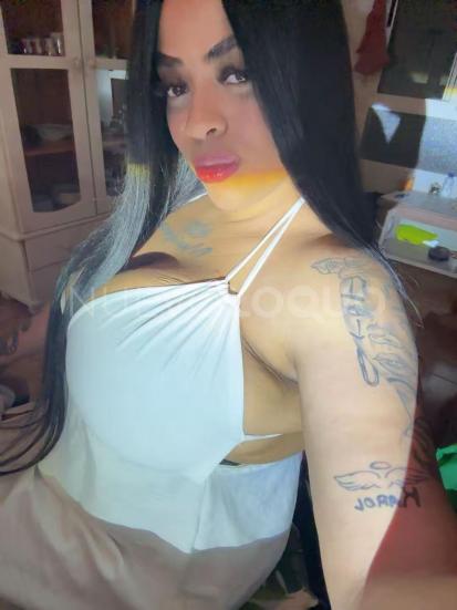 NuevoLoquo2