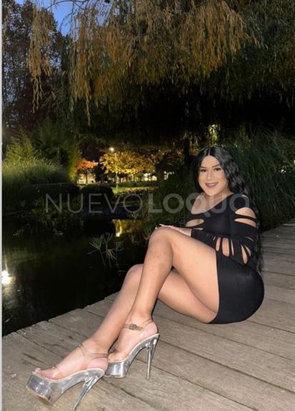 NuevoLoquo3
