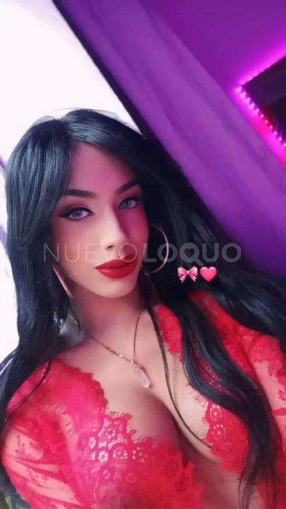 NuevoLoquo1
