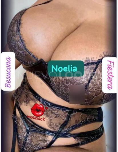 NuevoLoquo1