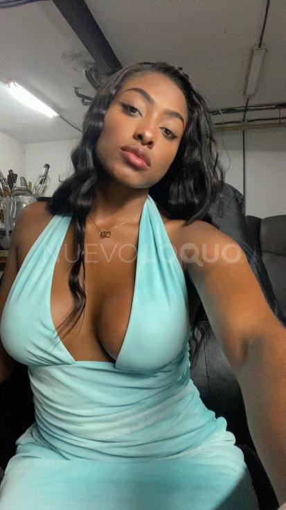 NuevoLoquo3