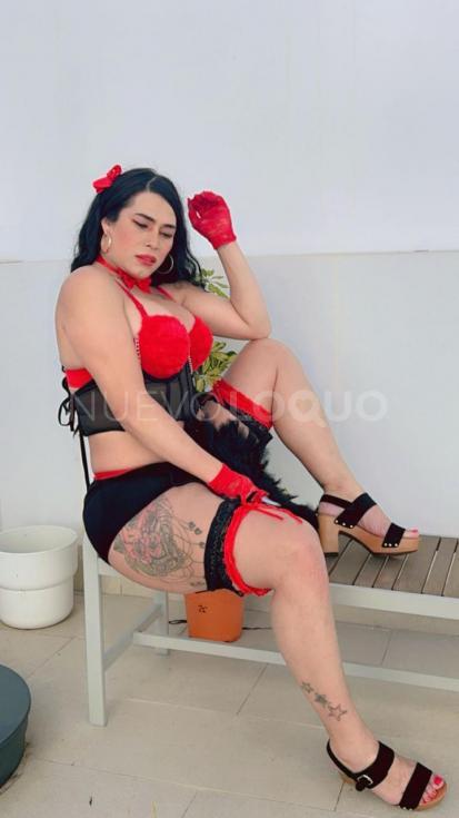 NuevoLoquo2