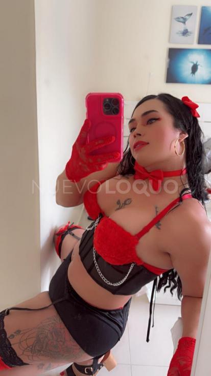 NuevoLoquo3