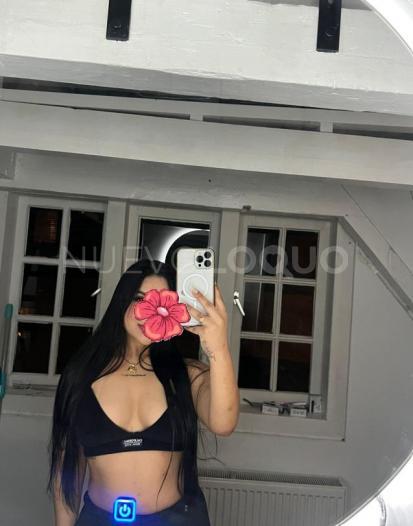 NuevoLoquo3