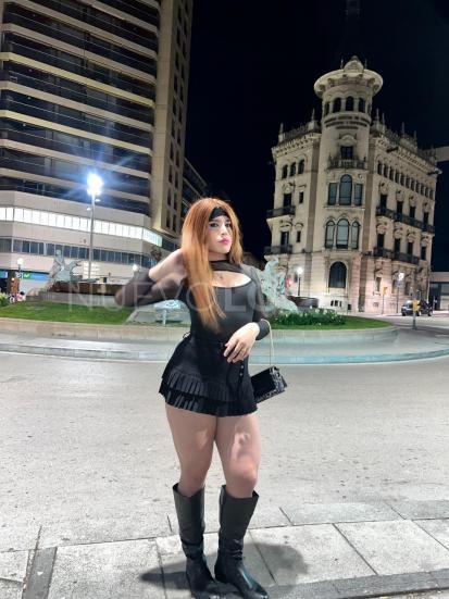 NuevoLoquo3