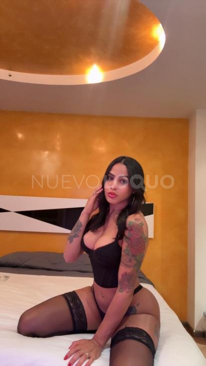 NuevoLoquo2