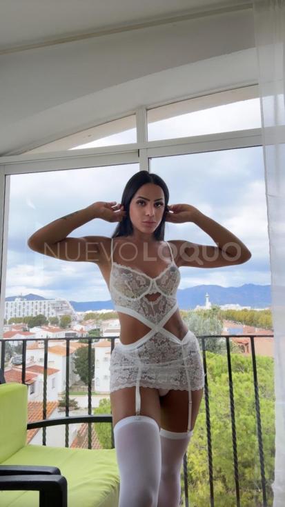 NuevoLoquo2