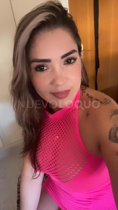 NuevoLoquo2