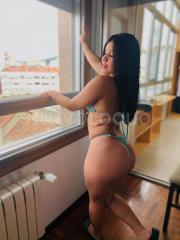 modelo novedad
