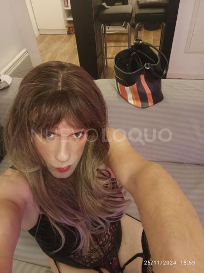 NuevoLoquo2
