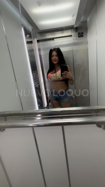 NuevoLoquo3